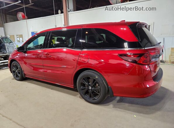 5FNRL6H79RB008356 2024 HONDA ODYSSEY Red Trasero izquierdo