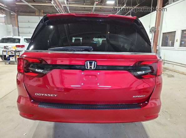 5FNRL6H79RB008356 2024 HONDA ODYSSEY Red Vista trasera