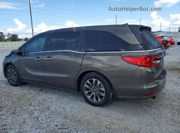 5FNRL6H7XNB013236 2022 HONDA ODYSSEY Tan Հետևի ձախ