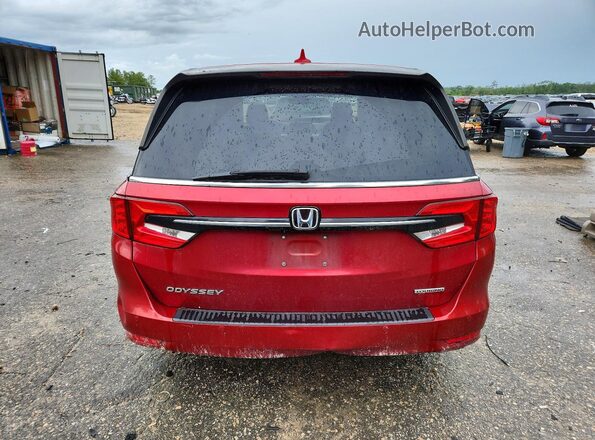 5FNRL6H80NB053768 2022 HONDA ODYSSEY Red Հետևի տեսք