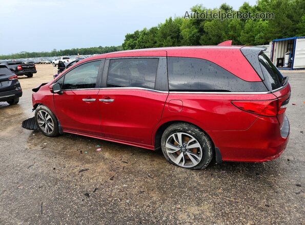 5FNRL6H80NB053768 2022 HONDA ODYSSEY Red Հետևի ձախ