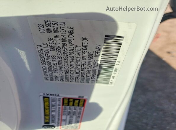 5FNRL6H80PB022202 2023 HONDA ODYSSEY White VIN կոդի պիտակի տեսք