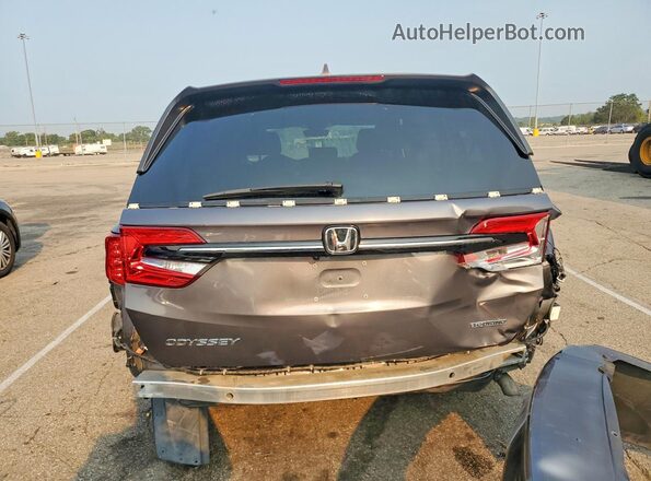 5FNRL6H80PB032941 2023 HONDA ODYSSEY Gray უკანა ხედი