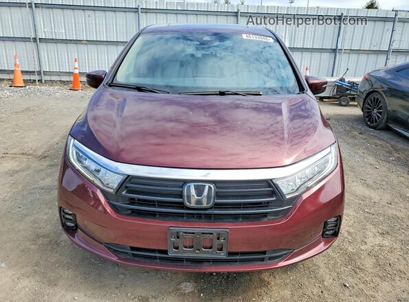 5FNRL6H83MB026871 2021 HONDA ODYSSEY Burgundy Вид спереду