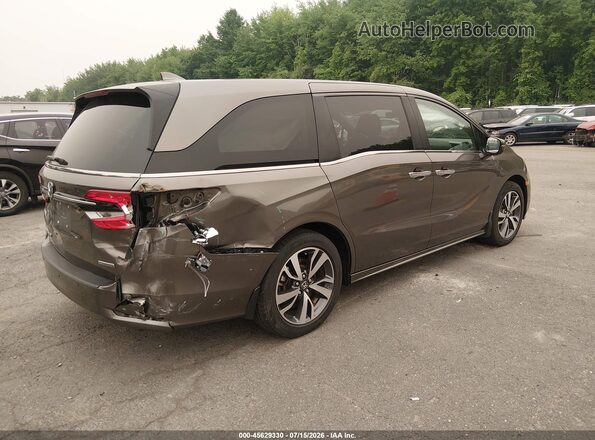 5FNRL6H83MB038826 2021 HONDA ODYSSEY Brown უკანა მარჯვენა