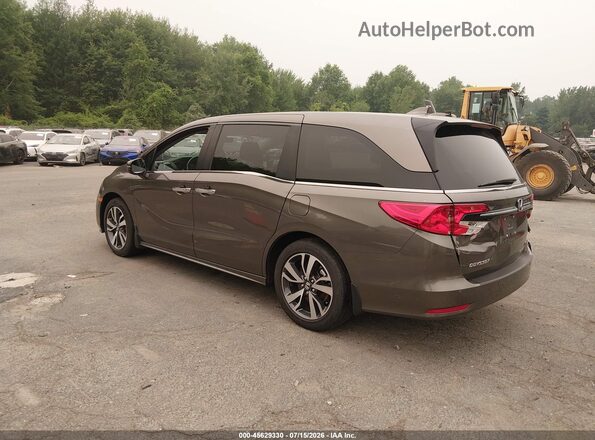 5FNRL6H83MB038826 2021 HONDA ODYSSEY Brown უკანა მარცხენა
