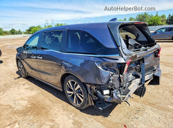 5FNRL6H84PB058832 2023 HONDA ODYSSEY Gray უკანა მარცხენა
