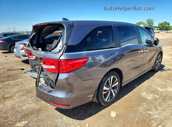 5FNRL6H84PB058832 2023 HONDA ODYSSEY Gray უკანა მარჯვენა