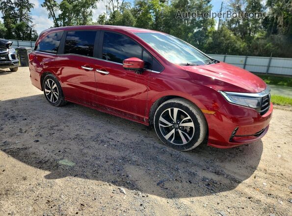 5FNRL6H84RB022366 2024 HONDA ODYSSEY Red წინა მარჯვენა