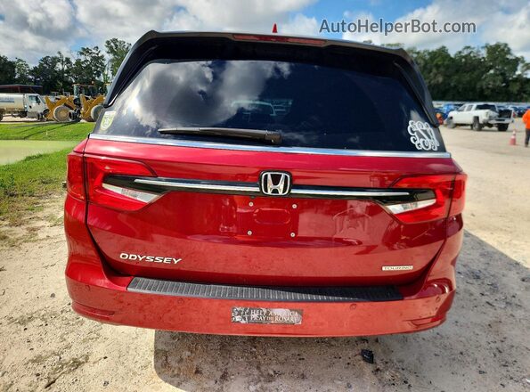 5FNRL6H84RB022366 2024 HONDA ODYSSEY Red უკანა ხედი