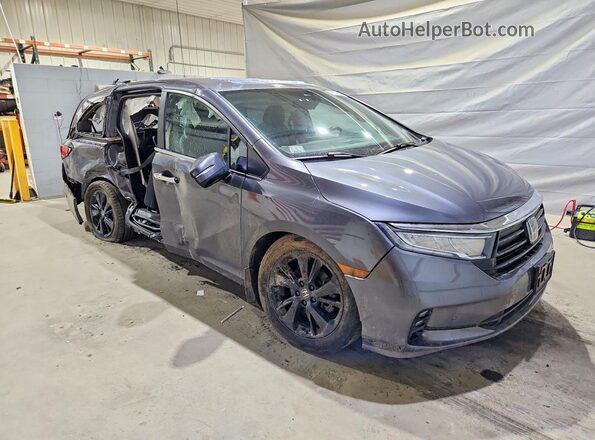 5FNRL6H86PB039652 2023 HONDA ODYSSEY Серый Передняя правая четверть