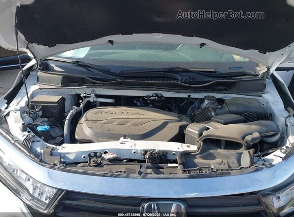 5FNRL6H86RB000367 2024 HONDA ODYSSEY Белый Вид сзади