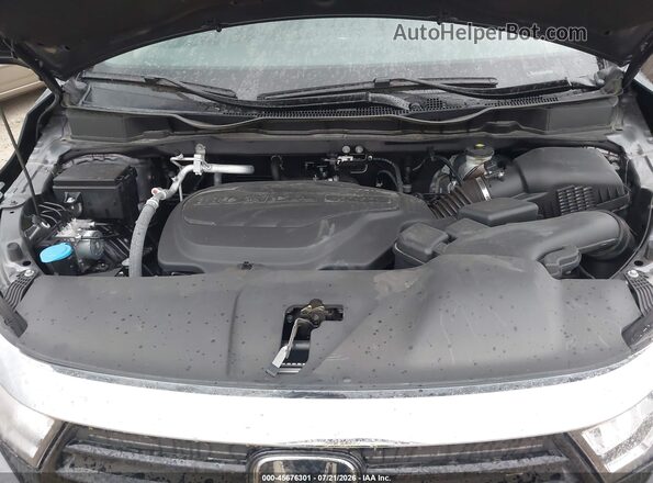 5FNRL6H86RB009800 2024 HONDA ODYSSEY Серый Вид сзади