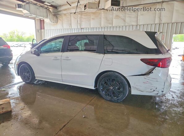 5FNRL6H88SB065713 2025 HONDA ODYSSEY White Задня ліва чверть