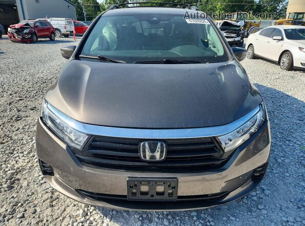 5FNRL6H89NB052134 2022 HONDA ODYSSEY Gray Вид спереду