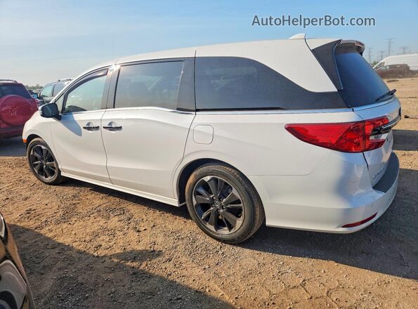 5FNRL6H90RB059911 2024 HONDA ODYSSEY White უკანა მარცხენა