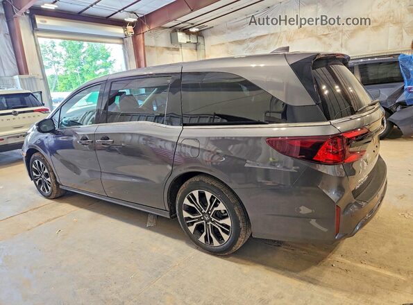 5FNRL6H92TB043703 2026 HONDA ODYSSEY Gray Задня ліва чверть
