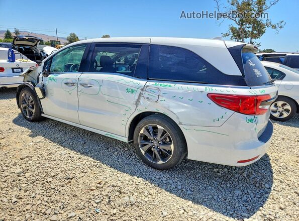 5FNRL6H95PB004562 2023 HONDA ODYSSEY White უკანა მარცხენა