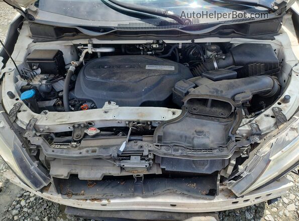 5FNRL6H96KB077643 2019 HONDA ODYSSEY White Շարժիչի բաժամունքի տեսք
