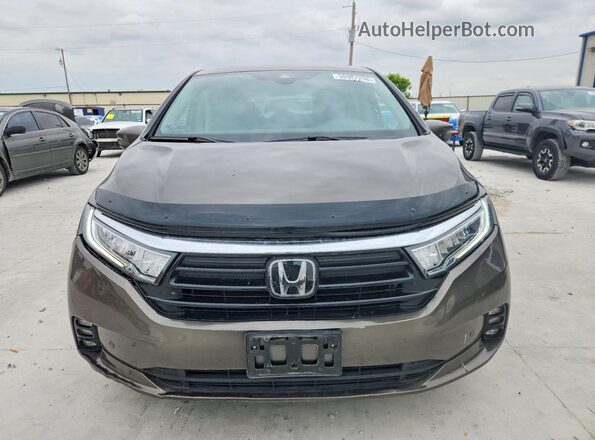5FNRL6H97PB030130 2023 HONDA ODYSSEY Brown Vista frontal