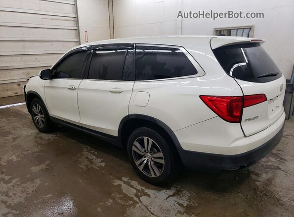 5FNYF5H3XHB037227 2017 HONDA PILOT White Հետևի ձախ