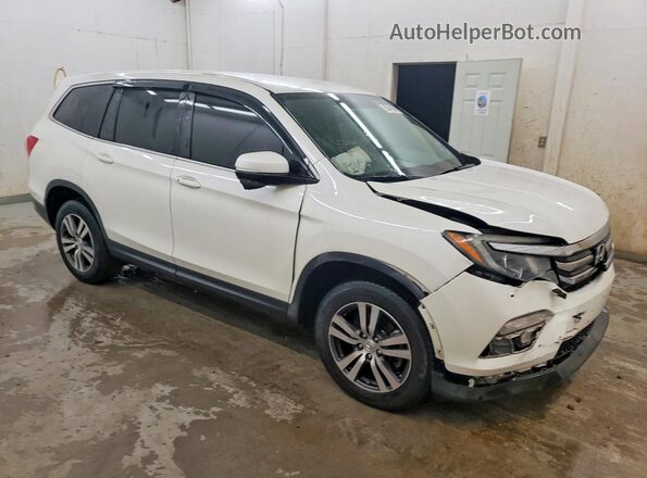 5FNYF5H3XHB037227 2017 HONDA PILOT White Առջևի աջ
