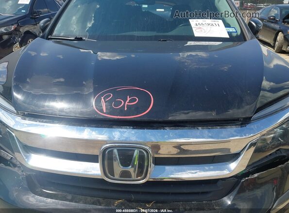 5FNYF5H50MB015068 2021 HONDA PILOT Black Widok z tyłu