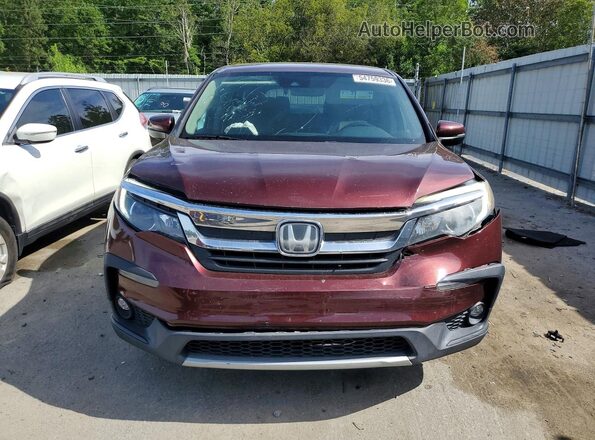 5FNYF5H51KB045581 2019 HONDA PILOT Burgundy Front view