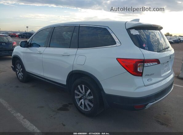 5FNYF5H5XMB041516 2021 HONDA PILOT Белый Задняя левая четверть