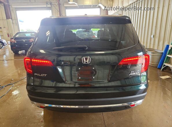 5FNYF6H00JB062204 2018 HONDA PILOT Green Widok z tyłu