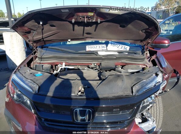 5FNYF6H28NB088041 2022 HONDA PILOT Бордовый Вид сзади