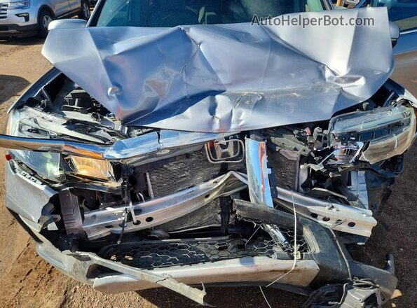 5FNYF6H31MB031008 2021 HONDA PILOT Silver Vista interior trasera