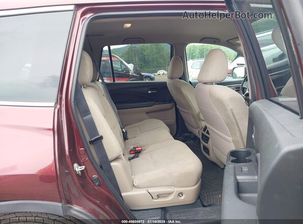 5FNYF6H37KB039448 2019 HONDA PILOT Темно-бордовый Вид наклейки с VIN-кодом
