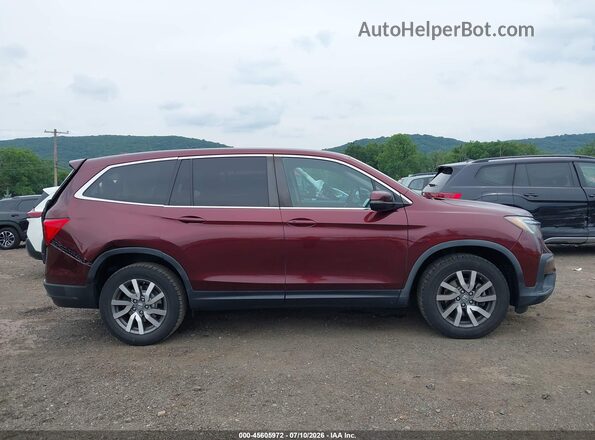 5FNYF6H37KB039448 2019 HONDA PILOT Темно-бордовый Вид задней части салона