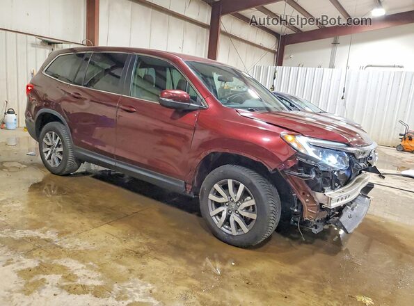5FNYF6H38KB097553 2019 HONDA PILOT Burgundy Delantero derecho