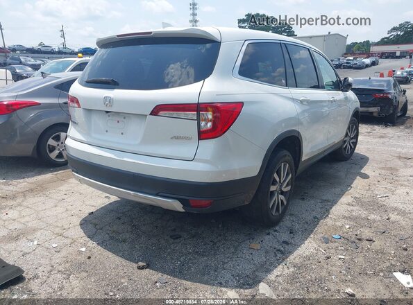 5FNYF6H51LB030117 2020 HONDA PILOT White უკანა მარჯვენა