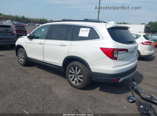 5FNYF6H55LB017841 2020 HONDA PILOT White Tył lewy