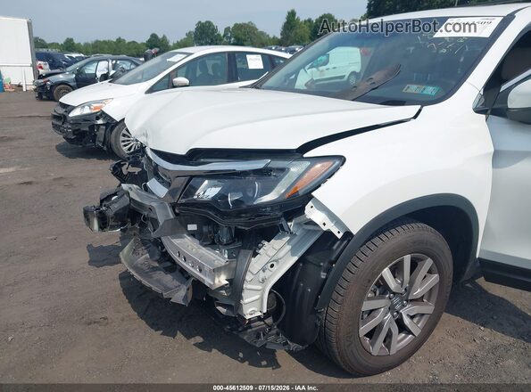 5FNYF6H55LB017841 2020 HONDA PILOT White 