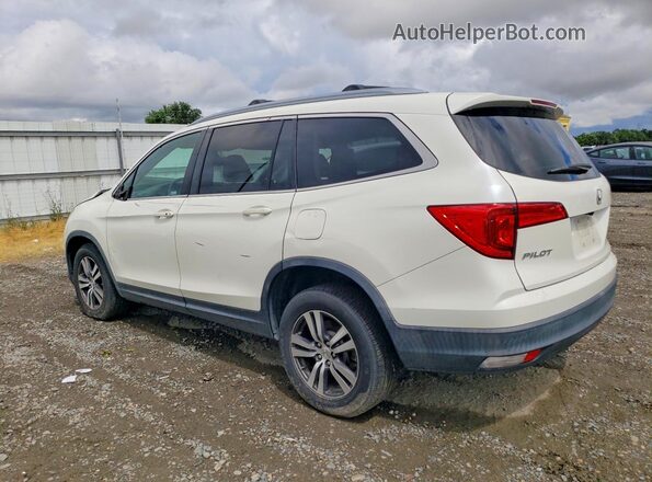 5FNYF6H58JB045310 2018 HONDA PILOT Белый Задняя левая четверть
