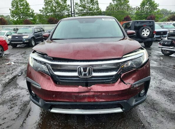 5FNYF6H59MB017374 2021 HONDA PILOT Burgundy Вид спереду