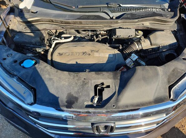 5FNYF6H71GB090051 2016 HONDA PILOT Серый Вид задней части салона