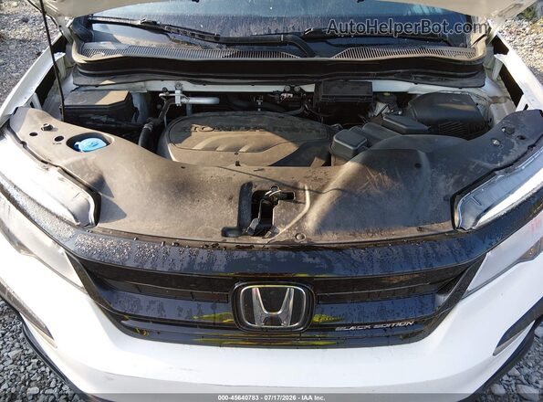 5FNYF6H74MB050817 2021 HONDA PILOT Белый Вид сзади