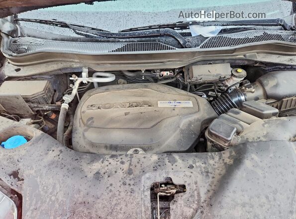 5FNYF7H59LB004631 2020 HONDA PASSPORT Blue უკანა სალონის ხედი