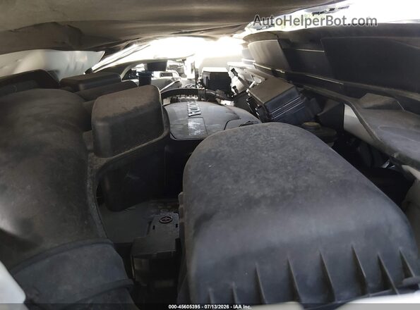 5FNYF8H04MB017721 2021 HONDA PASSPORT Белый Вид сзади