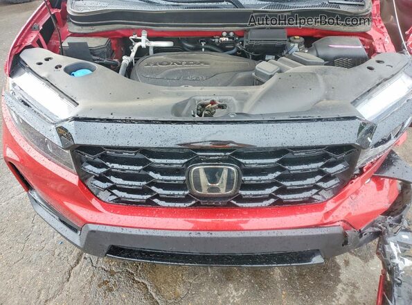 5FNYF8H05PB012726 2023 HONDA PASSPORT Burgundy Rear interior view
