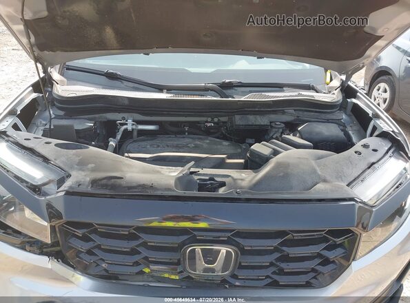 5FNYF8H06PB030393 2023 HONDA PASSPORT Gray Widok z tyłu