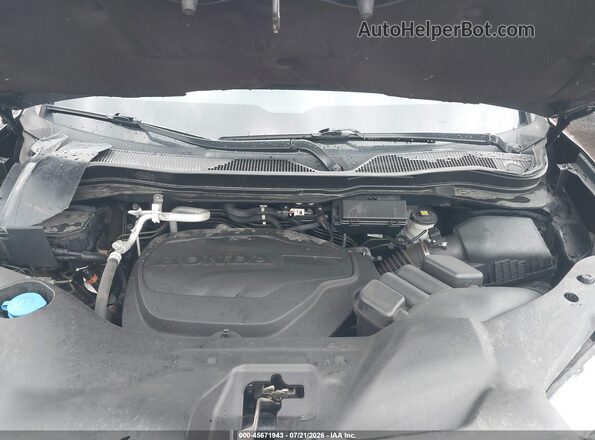 5FNYF8H54PB005696 2023 HONDA PASSPORT Black Widok z tyłu