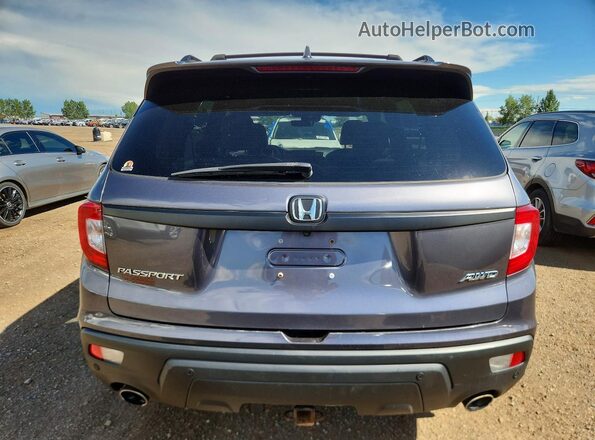 5FNYF8H57LB501389 2020 HONDA PASSPORT Gray Вид ззаду