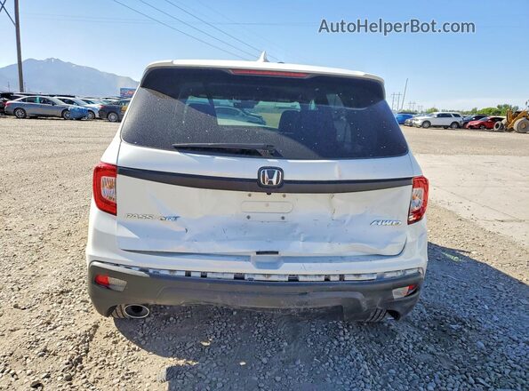5FNYF8H57MB042009 2021 HONDA PASSPORT Белый Вид сзади