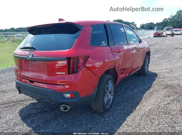 5FNYF8H58PB036093 2023 HONDA PASSPORT Красный Задняя правая четверть